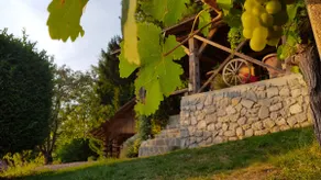 Vineyard Cottage Naja - Image 5