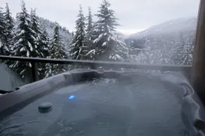 MTN Bike / Ski-In/Ski-Out Private Spa- Garage - Image 4