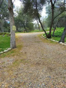 The Hamilton House near Yosemite, Skiing & more! - Image 4