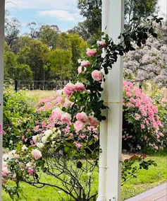 BALMATTUM PARK FARM COTTAGE - Image 3