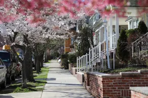 Guest Fav · Sunny 3BR Home w/ Secret Garden - Image 5
