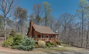 Horseshow Hideaway – Pet Friendly Cabin, 7 Minutes to TIEC - Image 2