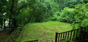 Cozy Carnegie Cottage close to Pittsburgh - Image 5