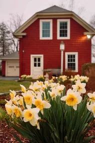The Garden Loft - A Charming Choate Stay - Image 3