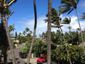 Maui Tropical House - Image 2
