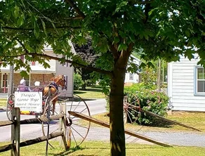 Dayze Gone Bye Guest House - Image 4