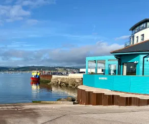 The Honey Bee - seaside town in Exmouth Devon - Image 5