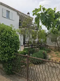 Apartment Lovrea - Image 2