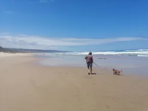 Spacious Beach Breakaway - Image 3
