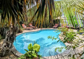 The Ave House- A Private Oasis Retreat with Pool - Image 2