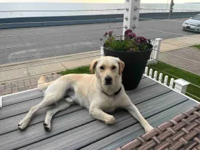 Waterfront, Dog-friendly, Hot Tub, Gas Fireplaces - Image 3