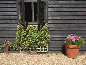 Charming cottage with minstrels gallery in 7 acres - Image 2