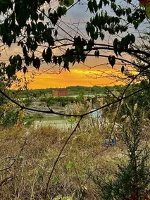 Outdoor Paradise - Image 2