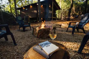 Accessible Cabin in Dahlonega near hiking/wineries - Image 2