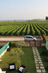 Entire Villa by the sea kite surf - Image 5
