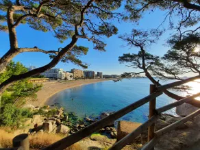 Duplex-Penthouse-Wohnung mit großer Terrasse nahe dem Strand von Sant Antoni - Image 5