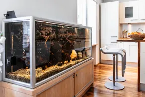 Golden Fish Apartments - 4 Bedrooms - Sauna - Image 5