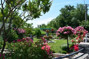 Ferienwohnung mit Garten und Terrasse | Gartenblick - Image 2