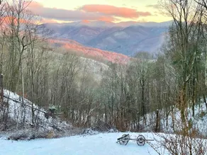 Jaw Dropping Views with Seclusion + 25 Mins to AVL - Image 5