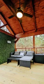 Spotted Deer- Mountain View Park Cabin - Image 3