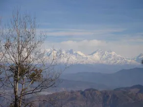 Sunrise Homestay Peach Valley Ramgarh Nainital - Image 2