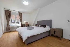 KAYA Zurich Apartment 5A - Downtown 2-BR Deluxe Loft Apt - Image 5