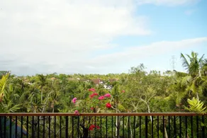 Ubud Rooms, Jungle View & Affordable / Lotus - Image 4