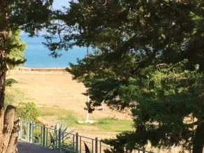 Beachfront apartment, first line beach, swimming pool - Image 2