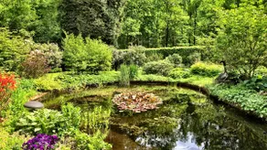 Villa Forestier in Breda, top forest location - Image 3