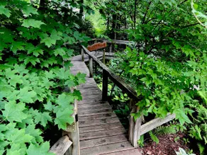 Cozy 2 bed place with outdoor oasis. - Image 2