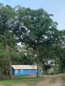 The Blue House on the Lake @ Smithville TX - Image 4