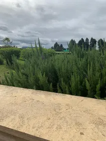 ENJOY THE GREEN OF THE COUNTRYSIDE JUST 30 MINUTES FROM BOGOTA - Image 5