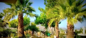 Christianna House(Villa) Sea View, Tropical Garden - Image 4