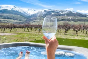 Entire Home *Private HotTub * AirHockey *Sleeps 16 - Image 3
