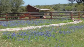 Texas T Bed and Breakfast - Image 2