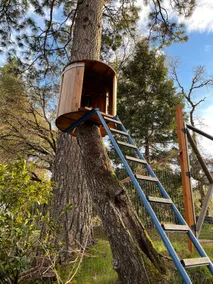 Hot Tub - Treehouse - Large Garden - Trampoline - Image 3