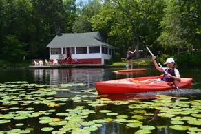 Lakeside cottage ON the water with beautiful views up the lake! - Image 2
