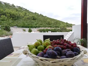 Apartment Olly seaside terrace Dubrovnik Riviera - Image 4