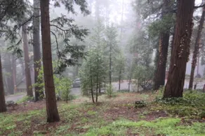 Private Cabin in the Woods - Image 5