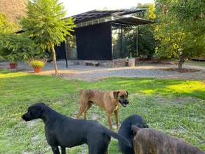 Our home, between avocados and hills - Image 3