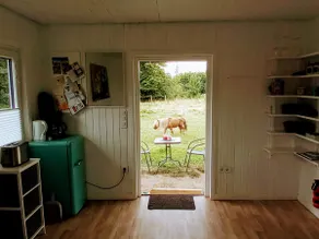 Guest house with paddock view - Image 5