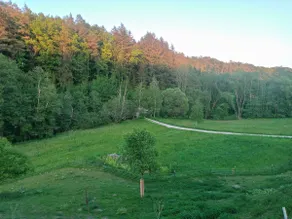 The travel mill. In the middle of nature. - Image 3