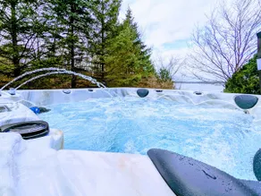 Artemis Lakehouse - Hot Tub, Lakefront & Racetrack - Image 2