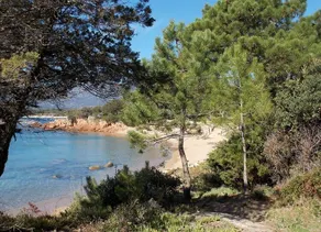 Résidence Domaine De Caranella - Image 5