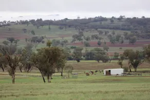 'AMAROO' Guesthouse Goonoo Goonoo Tamworth - Image 4