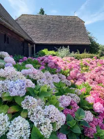 Hazel Tree Cottage. A secluded country retreat. - Image 2