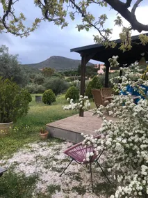 Cosy house in Athenian Countryside - Image 4