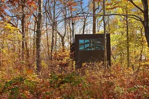 Cabin in the Woods - Trails & Pet Friendly! - Image 3