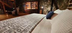Saluda dream cabin: Waterfalls Nature Pet friendly - Image 2