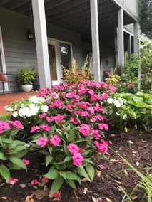 Cozy Patio Suite/Family friendly - Image 5
